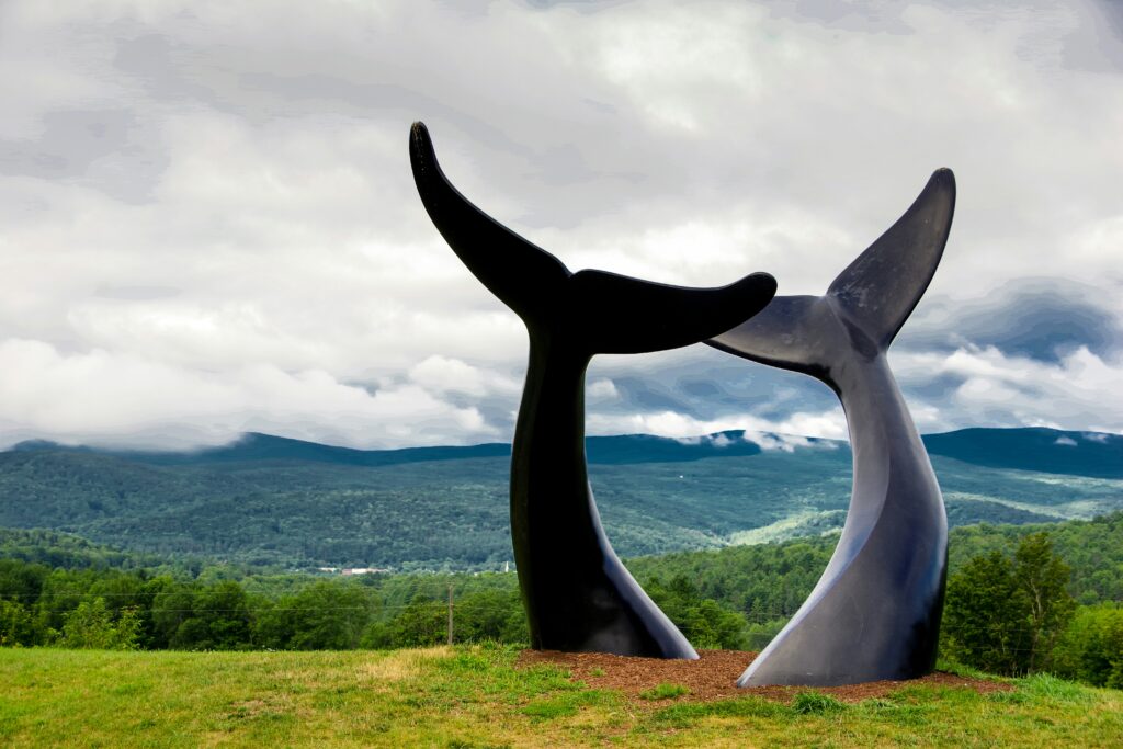 The image shows the famous "Whales Tails" sculpture near Burlington, Vermont. Two large black whale tails emerge from the ground, giving the impression of whales diving beneath the surface. In the background, there are lush green hills and mountains under a cloudy sky, capturing the scenic Vermont landscape. Howard Center Access and Intake helps individuals in Chittenden County get connected with Howard Center programs and services.